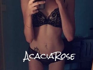 AcaciaRose