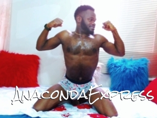 AnacondaExpress