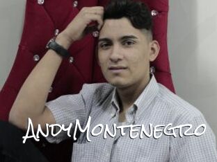 AndyMontenegro