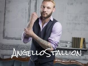 AngelloStallion