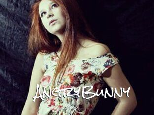 AngryBunny