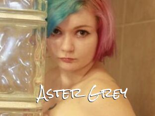 Aster_Grey