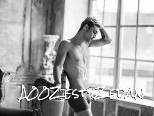 A00ZestyZedan