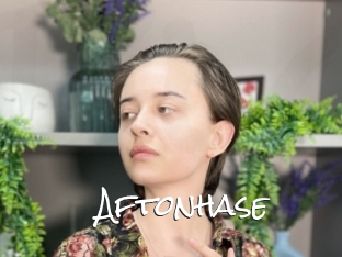 Aftonhase