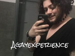 Agayexperience