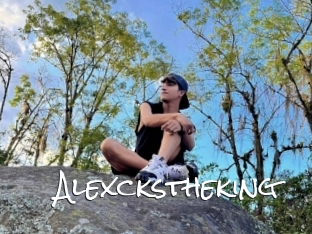 Alexckstheking