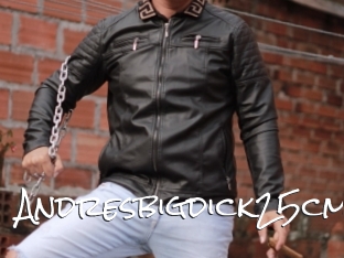 Andresbigdick25cm