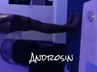 Androsin