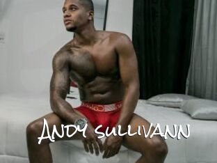 Andy_sullivann