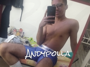 Andypolla