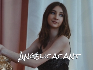 Angelicacant