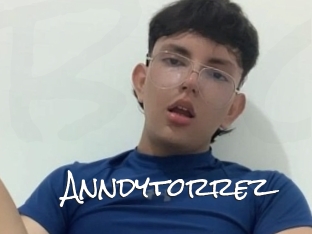 Anndytorrez