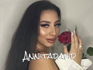 Annitadavid