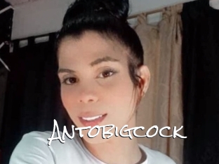 Antobigcock