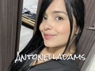 Antonelladams