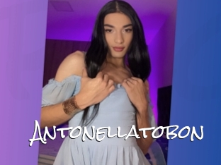 Antonellatobon