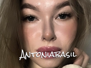 Antoniabasil