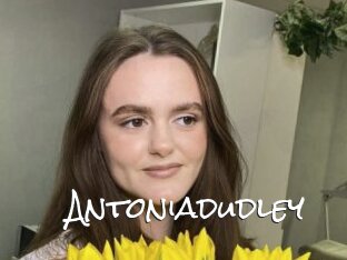 Antoniadudley