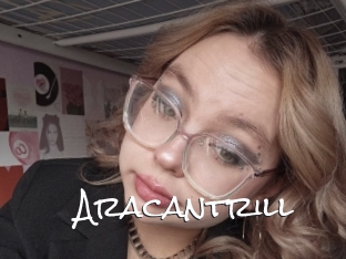 Aracantrill