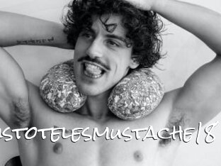 Aristotelesmustache18