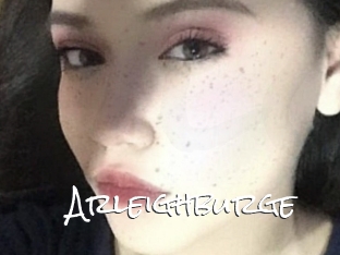 Arleighburge