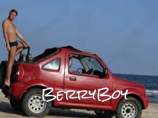 BerryBoy