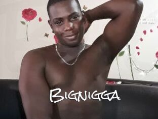 Bignigga