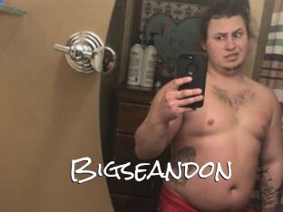 Bigseandon