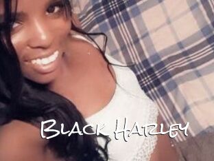 Black_Harley