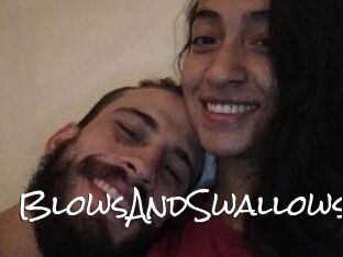 BlowsAndSwallows