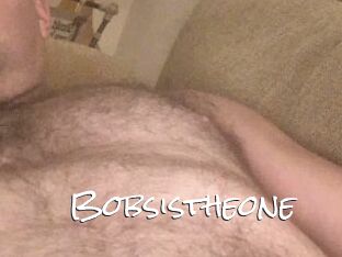 Bobsistheone