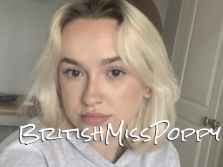 BritishMissPoppy