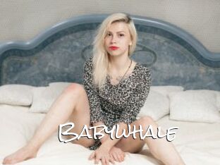 Babywhale