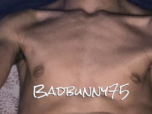 Badbunny75