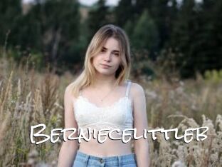 Berniecelittleb