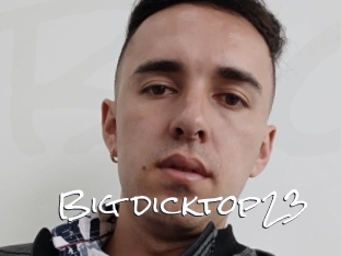 Big_dicktop23