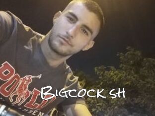 Bigcock_sh