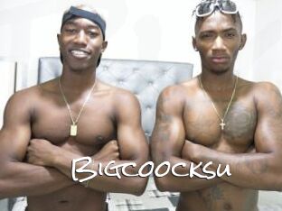 Bigcoocksu