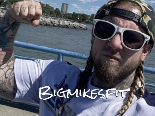 Bigmikesfit