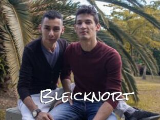 Bleicknort