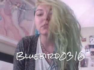 Bluebird0316