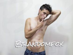 Brandomfox