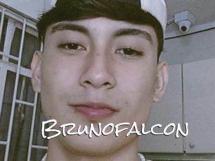 Brunofalcon