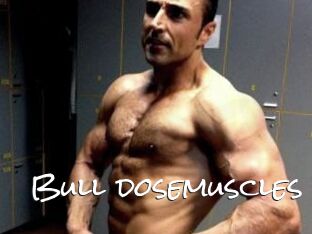 Bull_dosemuscles