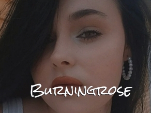 Burningrose