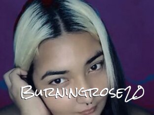 Burningrose20