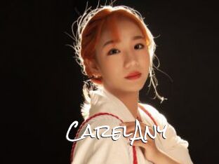 CarelAny