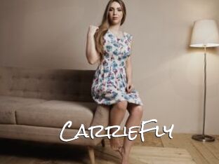 CarrieFly