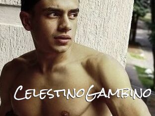 CelestinoGambino Blow Cum