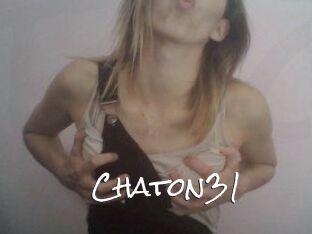 Chaton31